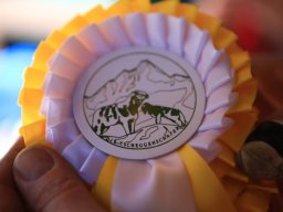 2019_ausstellung polling_310